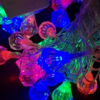 Гирлянда внутренняя нить "Бриллиант" (5 метров, 28 шт, провод черный, RG/RB) ― Spb.OnlineBazar.su