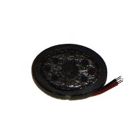 Динамик (buzzer+speaker) для Samsung X510 ― Spb.OnlineBazar.su