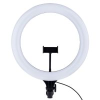 Кольцевая лампа MJ38 RGB для штатива, , с держателем для телефона, пультом, микрофоном (38 см) ― Spb.OnlineBazar.su